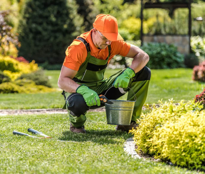 Gepflegte Außenanlage mit frischem Rasen und jungen Bäumen